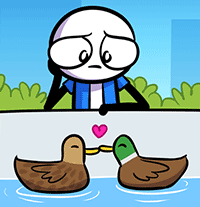 Love Birds