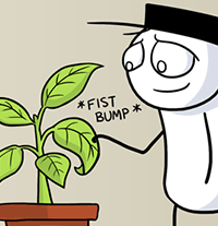 Plants Are Quiet