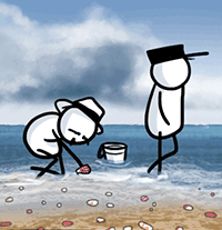 Seashells